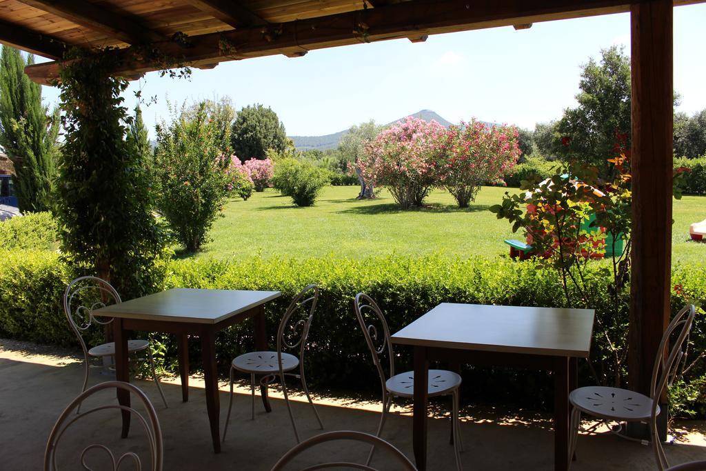 Agriturismo Eucaliptus Bolgheri Exterior foto